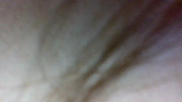 Snapshot of shag369 chatting on April 21, 2026, 6:14 pm shag369 online show from April 21, 2026, 6:14 pm