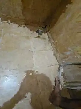 tamilpaiyan354 online show from April 25, 2026, 3:20 pm