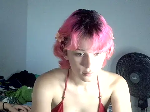 Gasby 8 online show from July 14, 2026, 4:17 am