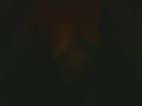 Snapshot of rodrigoxxp chatting on July 18, 2026, 2:36 pm rodrigoxxp online show from July 18, 2026, 2:36 pm