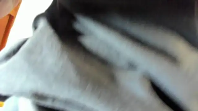 pipe monstercock online show from May 21, 2026, 8:17 pm