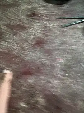 Rocky pune online show from April 9, 2026, 2:02 am