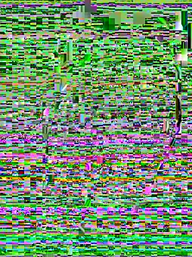 Kenzibb3 online show from July 31, 2026, 8:17 pm