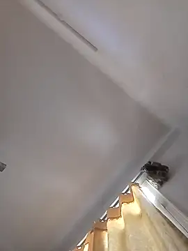 rathorejii online show from April 14, 2026, 5:56 am