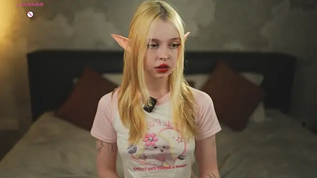 ElvenCat online show from April 29, 2026, 4:11 pm