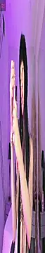 Snapshot of DeboraCopper_ chatting on May 4, 2026, 11:29 pm DeboraCopper online show from May 4, 2026, 11:29 pm