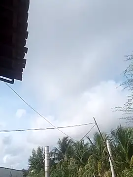  - - -larissa - - - online show from April 20, 2026, 10:40 am