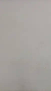 DanaaCollins online show from July 19, 2026, 2:14 pm