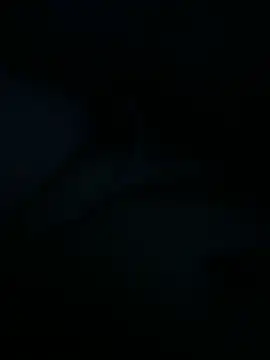 comedornato1989 online show from April 22, 2026, 10:49 pm