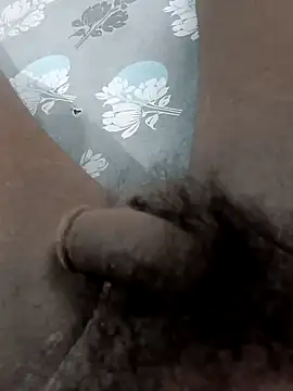 Peterhadly online show from April 26, 2026, 10:12 am