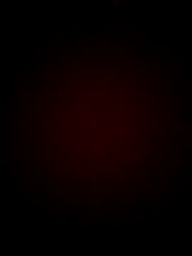 CelesteMonteiroz online show from April 28, 2026, 4:28 am