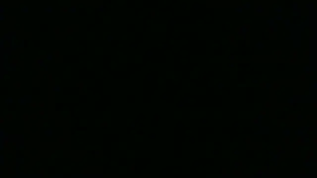 Snapshot of SamuelTal chatting on May 26, 2026, 4:49 pm SamuelTal online show from May 26, 2026, 4:49 pm