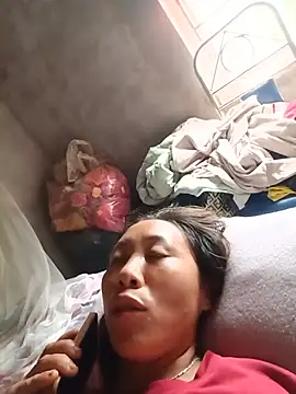 Jinli 01 online show from July 15, 2026, 5:47 am