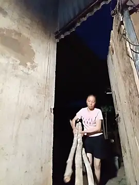 Jinli 01 online show from June 18, 2026, 9:53 pm