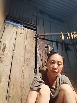 Jinli 01 online show from July 3, 2026, 12:22 pm