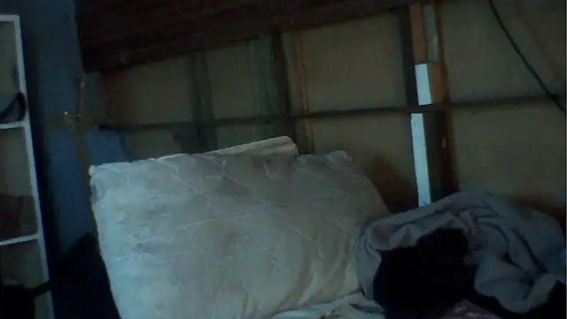 Camodick online show from December 2, 2025, 8:49 am