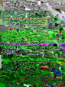 cockhornyjj online show from June 3, 2026, 2:33 pm