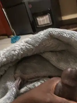 BIG DICK BOOGIE online show from June 22, 2026, 11:02 pm