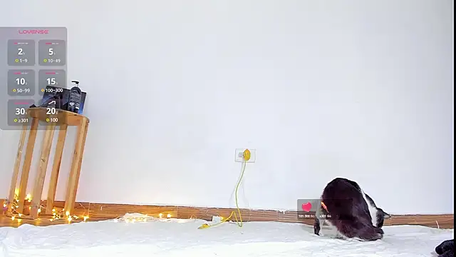 Snapshot of abilX chatting on January 24, 2025, 1:57 pm abilX online show from January 24, 2025, 1:57 pm