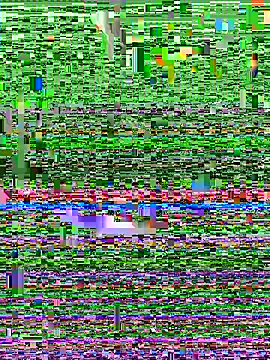 lickerete online show from July 21, 2026, 12:17 pm