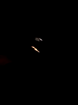 tom latin online show from May 20, 2026, 1:13 am