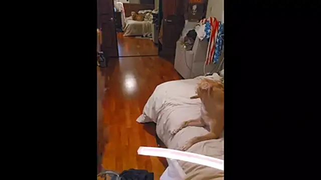 Clevername90 online show from October 26, 2025, 1:50 am