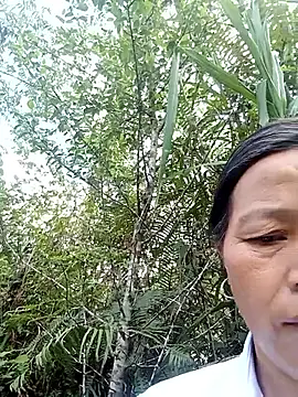 Elfledaa online show from June 3, 2026, 7:53 am