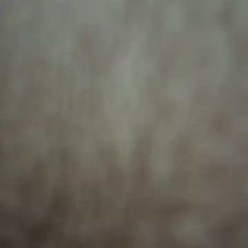 Snapshot of xandria09 chatting on May 26, 2026, 1:58 am xandria09 online show from May 26, 2026, 1:58 am