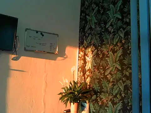 indianaphrodite1 online show from June 4, 2026, 5:12 am