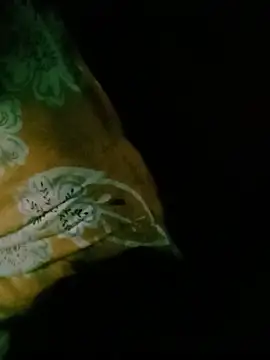 Snapshot of MoonLusty chatting on July 12, 2026, 9:54 am MoonLusty online show from July 12, 2026, 9:54 am