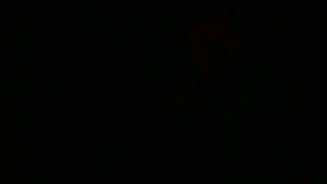 LilDaddyX online show from July 23, 2026, 9:06 am