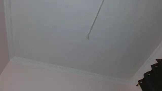 amara sanchez online show from July 8, 2026, 1:01 pm