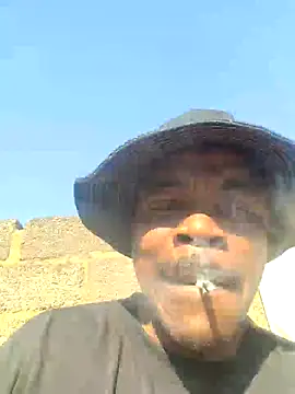 Rod Gorilla online show from July 26, 2026, 7:04 am