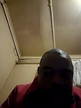 Rod Gorilla online show from July 25, 2026, 6:03 pm