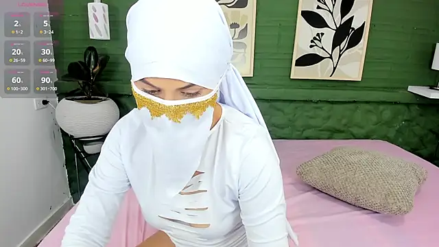 Snapshot of aisha_k chatting on June 13, 2026, 11:35 pm aisha k online show from June 13, 2026, 11:35 pm