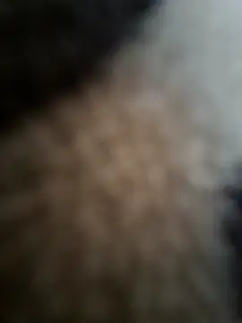 Snapshot of Prashant_4406 chatting on July 27, 2026, 7:37 am Prashant 4406 online show from July 27, 2026, 7:37 am