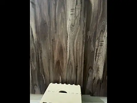 SatBull007 online show from November 23, 2025, 7:51 am