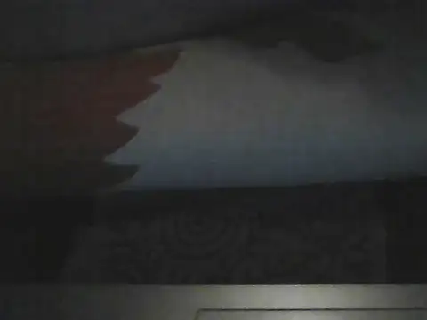 Snapshot of butterflywngs chatting on July 10, 2026, 6:52 pm butterflywngs online show from July 10, 2026, 6:52 pm