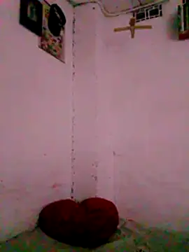 Snapshot of TY_ROYAL chatting on July 26, 2026, 3:02 am TY ROYAL online show from July 26, 2026, 3:02 am