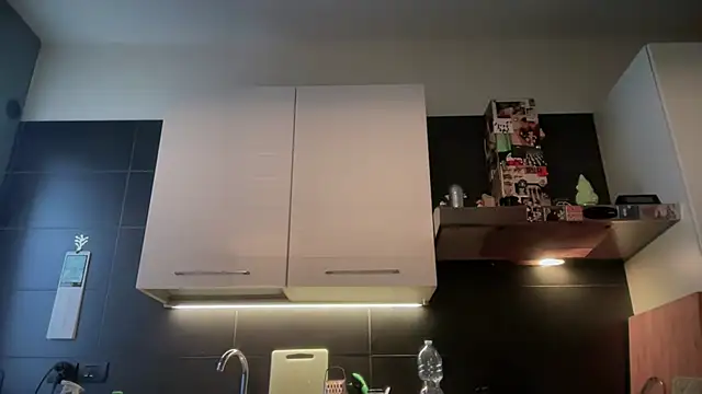 Snapshot of theitalianbear chatting on February 6, 2026, 6:42 am theitalianbear online show from February 6, 2026, 6:42 am