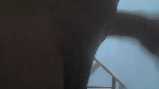 el principe hot online show from November 28, 2025, 3:50 am