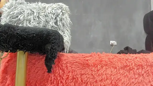 SandraGoldstein online show from March 13, 2026, 1:21 am