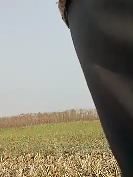 ThethunderPo online show from November 16, 2025, 4:39 am