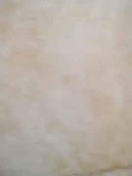 Camilatinass  online show from April 3, 2026, 11:27 am