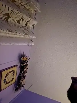 UncutHammer69 online show from December 20, 2025, 7:44 am