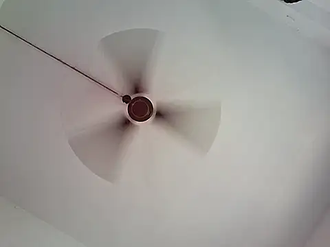 Snapshot of BlackBoy_Kolkata chatting on June 8, 2026, 8:59 am BlackBoy Kolkata online show from June 8, 2026, 8:59 am