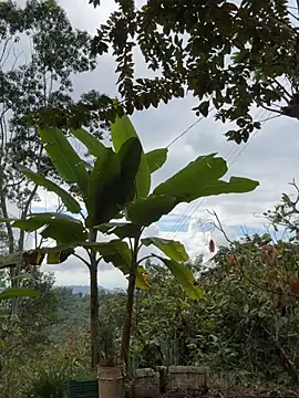 LINDA PATTY94 online show from March 11, 2026, 8:36 pm