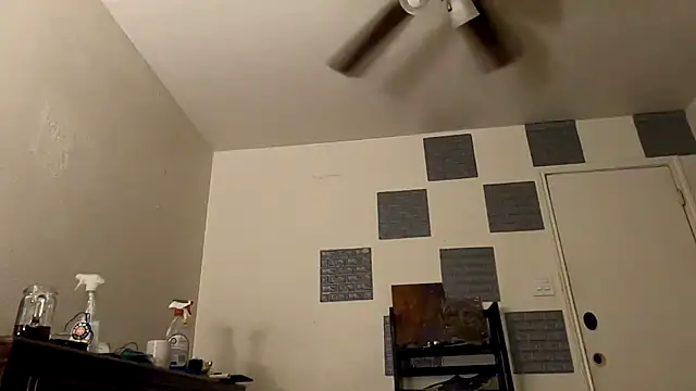 Snapshot of TheDaisyChaos chatting on March 14, 2025, 1:27 am TheDaisyChaos online show from March 14, 2025, 1:27 am