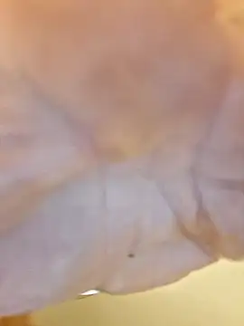 Snapshot of ThickDMatty@xh chatting on November 1, 2025, 4:41 am ThickDMattyxh online show from November 1, 2025, 4:41 am