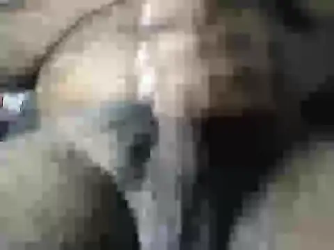 Snapshot of Jordy921 chatting on February 3, 2026, 1:27 pm Jordy921 online show from February 3, 2026, 1:27 pm